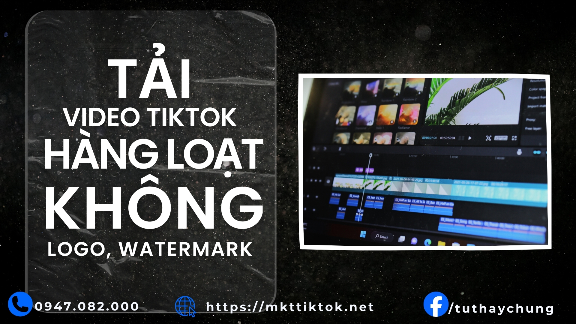 Tải video Tiktok hàng loạt không logo, watermark